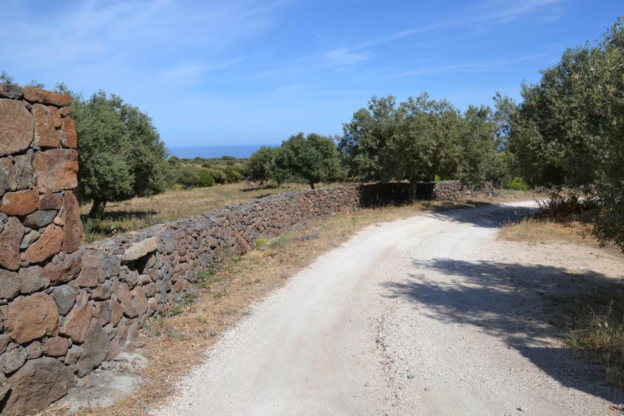 Casa Indipendente Immersa Nel Verde Con Vista Mare Dorgali Εξωτερικό φωτογραφία