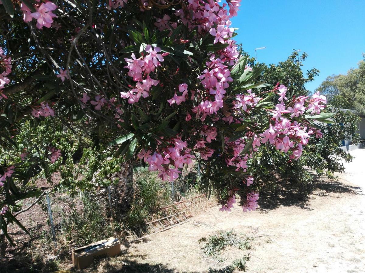 Casa Indipendente Immersa Nel Verde Con Vista Mare Dorgali Εξωτερικό φωτογραφία